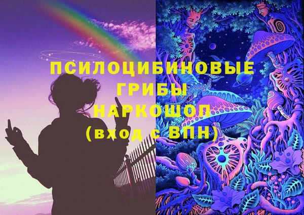 СК Надым
