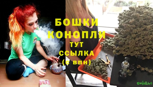 СК Надым