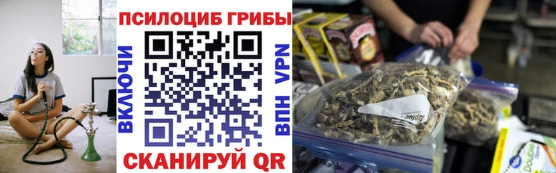 Псилоцибиновые грибы GOLDEN TEACHER  цены   Энем 